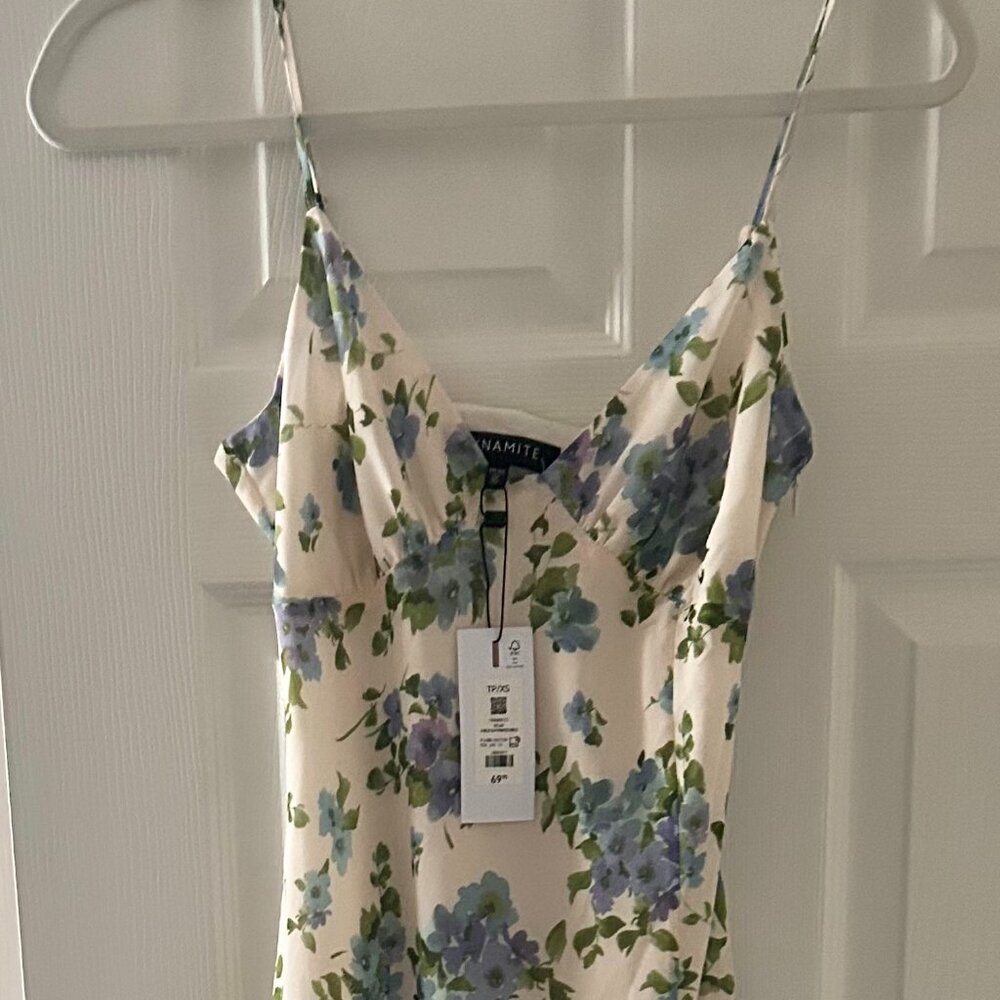 NWT Dynamite Floral Cream Dress